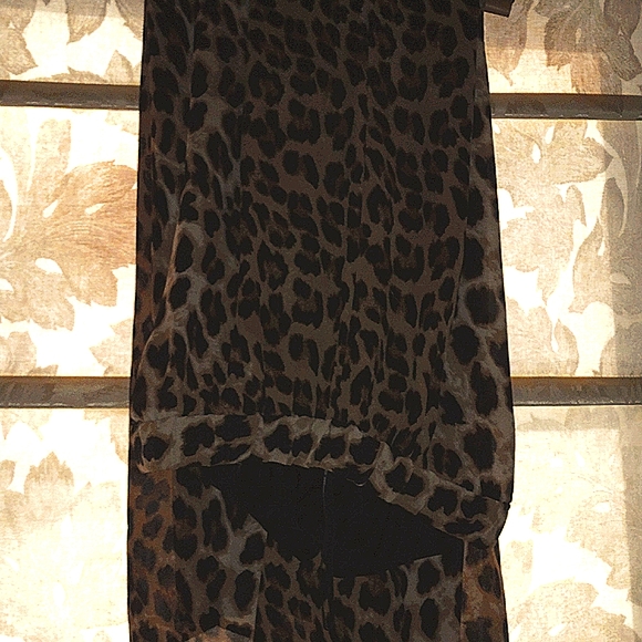 LEOPARD PALOOZA - Picture 5 of 7